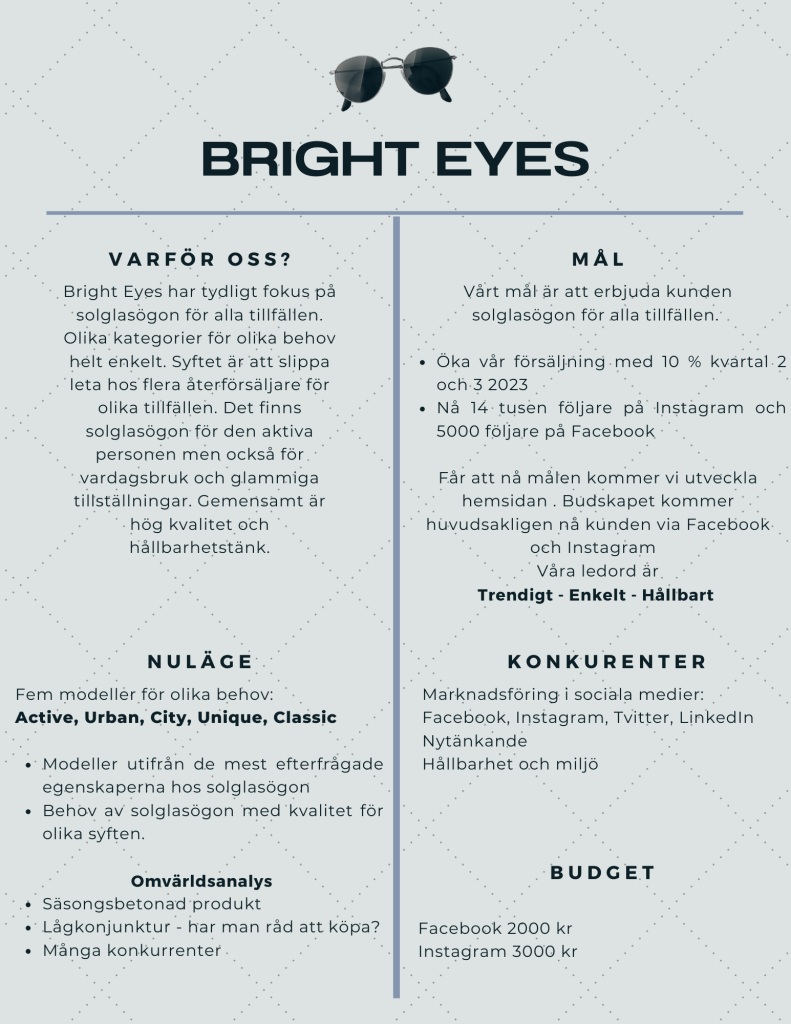 Brief för fiktiva företaget Bright eyes.